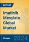 Imatinib Mesylate Global Market Insights 2024, Analysis and Forecast to 2029, by Manufacturers, Regions, Technology, Application - Product Thumbnail Image