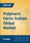 Polymeric Ferric Sulfate Global Market Insights 2023, Analysis and Forecast to 2028, by Manufacturers, Regions, Technology, Application, Product Type - Product Image