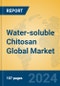 Water-soluble Chitosan Global Market Insights 2024, Analysis and Forecast to 2029, by Manufacturers, Regions, Technology, Application - Product Image