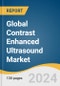 Global Contrast Enhanced Ultrasound Market Size, Share & Trends Analysis Report by Product (Equipment, Contrast Agents), Type (Non-targeted, Targeted), End-use (Hospitals, Clinics, Ambulatory Diagnostic Centers), Region, and Segment Forecasts, 2024-2030 - Product Image