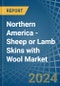 Northern America - Sheep or Lamb Skins with Wool - Market Analysis, Forecast, Size, Trends and Insights. Update: COVID-19 Impact - Product Thumbnail Image