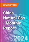 China Natural Gas - Monthly Report- Product Image