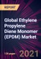 Global Ethylene Propylene Diene Monomer (EPDM) Market 2021-2025 - Product Thumbnail Image