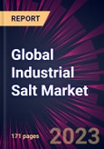 Global Industrial Salt Market 2023-2027- Product Image