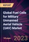 Global Fuel Cells for Military Unmanned Aerial Vehicle (UAV) Market 2024-2028 - Product Image