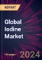 Global Iodine Market 2024-2028 - Product Thumbnail Image