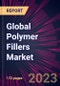Global Polymer Fillers Market 2023-2027 - Product Image