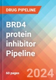BRD4 protein inhibitor - Pipeline Insight, 2024- Product Image