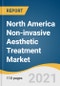 North America Non-invasive Aesthetic Treatment Market Size, Share & Trends Analysis Report By Procedure (Skin Rejuvenation, Injectable), By End Use (Hospital, Traditional Spa, HCP Owned Clinic), And Segment Forecasts, 2021 - 2028 - Product Thumbnail Image