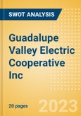 Guadalupe Valley Electric Cooperative Inc - Strategic SWOT Analysis Review- Product Image
