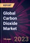 Global Carbon Dioxide Market 2024-2028 - Product Thumbnail Image