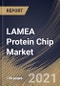 LAMEA Protein Chip Market By End User, By Technology, By Application, By Country, Opportunity Analysis and Industry Forecast, 2021 - 2027 - Product Thumbnail Image