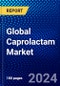 Global Caprolactam Market (2023-2028) Competitive Analysis, Impact of Covid-19, Ansoff Analysis - Product Image