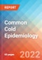 Common Cold - Epidemiology Forecast to 2032 - Product Thumbnail Image