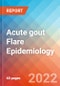 Acute gout Flare - Epidemiology Forecast - 2032 - Product Thumbnail Image