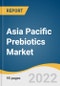 Asia Pacific Prebiotics Market Size, Share & Trends Analysis Report by Source (Roots, Fruits & Vegetables, Cereals & Grains), by Product, by Form, by Functionality, by Application, by Region, and Segment Forecasts, 2020-2028 - Product Thumbnail Image