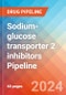 Sodium-glucose transporter 2 inhibitors - Pipeline Insight, 2024 - Product Image