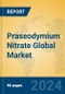 Praseodymium Nitrate Global Market Insights 2024, Analysis and Forecast to 2029, by Manufacturers, Regions, Technology, Application - Product Image