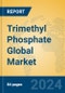 Trimethyl Phosphate Global Market Insights 2024, Analysis and Forecast to 2029, by Manufacturers, Regions, Technology, Application - Product Image