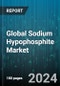 Global Sodium Hypophosphite Market by Function (Analytical Reagents, Chemical Intermediates, Flame Retardants), Grade (Electrical, Industrial), Application - Forecast 2024-2030 - Product Thumbnail Image