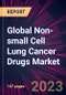 Global Non-small Cell Lung Cancer Drugs Market 2023-2027 - Product Thumbnail Image