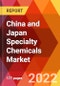 China and Japan Specialty Chemicals Market, By Type, By Functional Specialty, By End Use Industry, Estimation & Forecast, 2017 - 2030 - Product Thumbnail Image