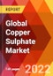 Global Copper Sulphate Market, By Type, By Application, By Region, Estimation & Forecast, 2017 - 2027 - Product Thumbnail Image