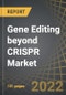 Gene Editing beyond CRISPR Market: Focus on Zinc Finger Nucleases, Transcription Activator-Like Effector Nucleases and Meganucleases Edited Therapies: Distribution by Type of Payment and Distribution by Geography: Industry Trends and Global Forecasts, 2022-2035 - Product Thumbnail Image