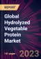 Global Hydrolyzed Vegetable Protein Market 2024-2028 - Product Thumbnail Image