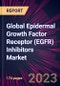 Global Epidermal Growth Factor Receptor (EGFR) Inhibitors Market 2024-2028 - Product Image