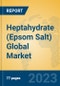 Heptahydrate (Epsom Salt) Global Market Insights 2023, Analysis and Forecast to 2028, by Manufacturers, Regions, Technology, Application, Product Type - Product Thumbnail Image