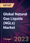 Global Natural Gas Liquids (NGLs) Market 2024-2028 - Product Image