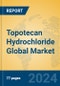 Topotecan Hydrochloride Global Market Insights 2024, Analysis and Forecast to 2029, by Manufacturers, Regions, Technology, Application - Product Image