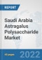 Saudi Arabia Astragalus Polysaccharide Market: Prospects, Trends Analysis, Market Size and Forecasts up to 2027 - Product Thumbnail Image