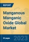 Manganous Manganic Oxide Global Market Insights 2023, Analysis and Forecast to 2028, by Manufacturers, Regions, Technology, Application, Product Type - Product Image
