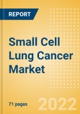 Small Cell Lung Cancer Marketed and Pipeline Drugs Assessment, Clinical Trials, Social Media and Competitive Landscape, 2022 Update- Product Image