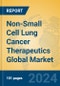Non-Small Cell Lung Cancer Therapeutics Global Market Insights 2024, Analysis and Forecast to 2029, by Manufacturers, Regions, Technology, Application - Product Image