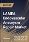 LAMEA Endovascular Aneurysm Repair Market Size, Share & Industry Trends Analysis Report By Indication (Abdominal and Thoratic), By Product, By Site, By Anatomy (Traditional and Complex), By Country and Growth Forecast, 2022-2028 - Product Thumbnail Image