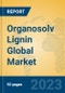 Organosolv Lignin Global Market Insights 2023, Analysis and Forecast to 2028, by Manufacturers, Regions, Technology, Application, Product Type - Product Image