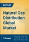 Natural Gas Distribution Global Market Insights 2023, Analysis and Forecast to 2028, by Market Participants, Regions, Technology, Application, Product Type - Product Image