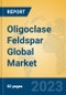 Oligoclase Feldspar Global Market Insights 2023, Analysis and Forecast to 2028, by Manufacturers, Regions, Technology, Application, Product Type - Product Image