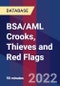 BSA/AML Crooks, Thieves and Red Flags - Webinar (Recorded) - Product Thumbnail Image