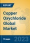 Copper Oxychloride Global Market Insights 2023, Analysis and Forecast to 2028, by Manufacturers, Regions, Technology, Product Type - Product Thumbnail Image