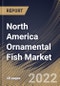 North America Ornamental Fish Market Size, Share & Industry Trends Analysis Report By Application, By Product, By Country and Growth Forecast, 2022 - 2028 - Product Thumbnail Image