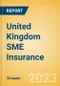 United Kingdom (UK) SME Insurance - Competitor Dynamics 2023 - Product Image
