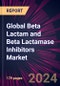 Global Beta Lactam and Beta Lactamase Inhibitors Market 2022-2026 - Product Thumbnail Image