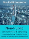 Non-Public Communications and Computing: Private Networks, Edge Computing, Neutral Hosting, SD-WAN and Networks-as-a-Service- Product Image