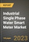 Industrial Single Phase Water Smart Meter Market Outlook Report - Industry Size, Trends, Insights, Market Share, Competition, Opportunities, and Growth Forecasts by Segments, 2022 to 2030 - Product Image