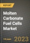 Molten Carbonate Fuel Cells (MCFCs) Market Outlook Report - Industry Size, Trends, Insights, Market Share, Competition, Opportunities, and Growth Forecasts by Segments, 2022 to 2030 - Product Thumbnail Image