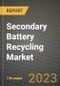 Secondary Battery Recycling Market Outlook Report - Industry Size, Trends, Insights, Market Share, Competition, Opportunities, and Growth Forecasts by Segments, 2022 to 2030 - Product Thumbnail Image